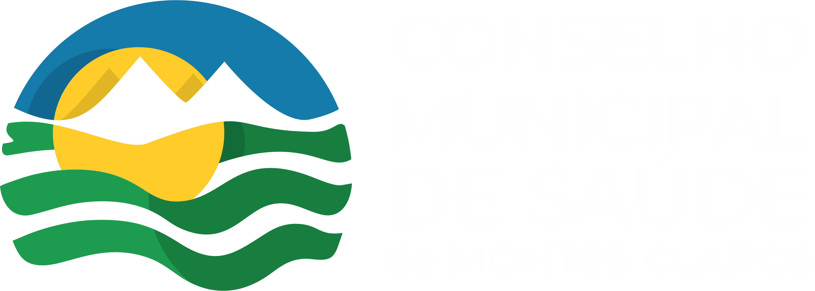 Conselho Municipal de Saúde de Montes Claros